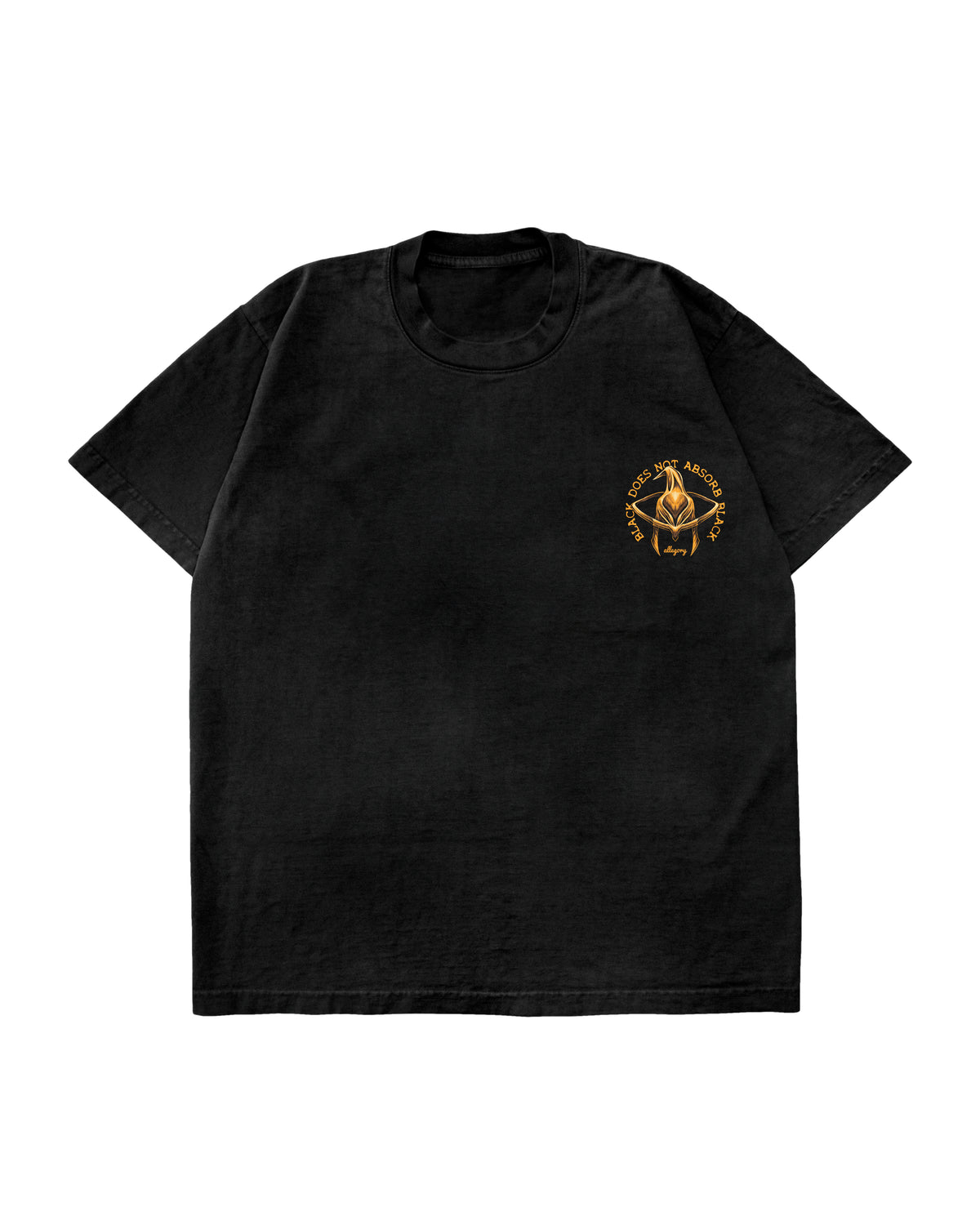 Black Does Not Absorb Black T-Shirt | Black